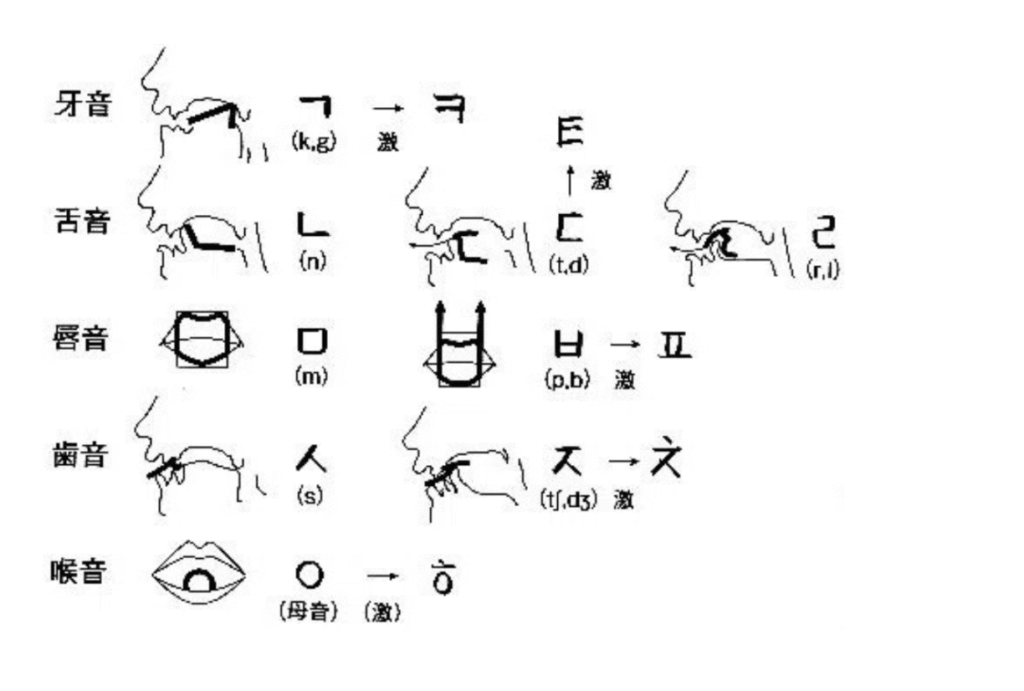 ハングル子音の形成